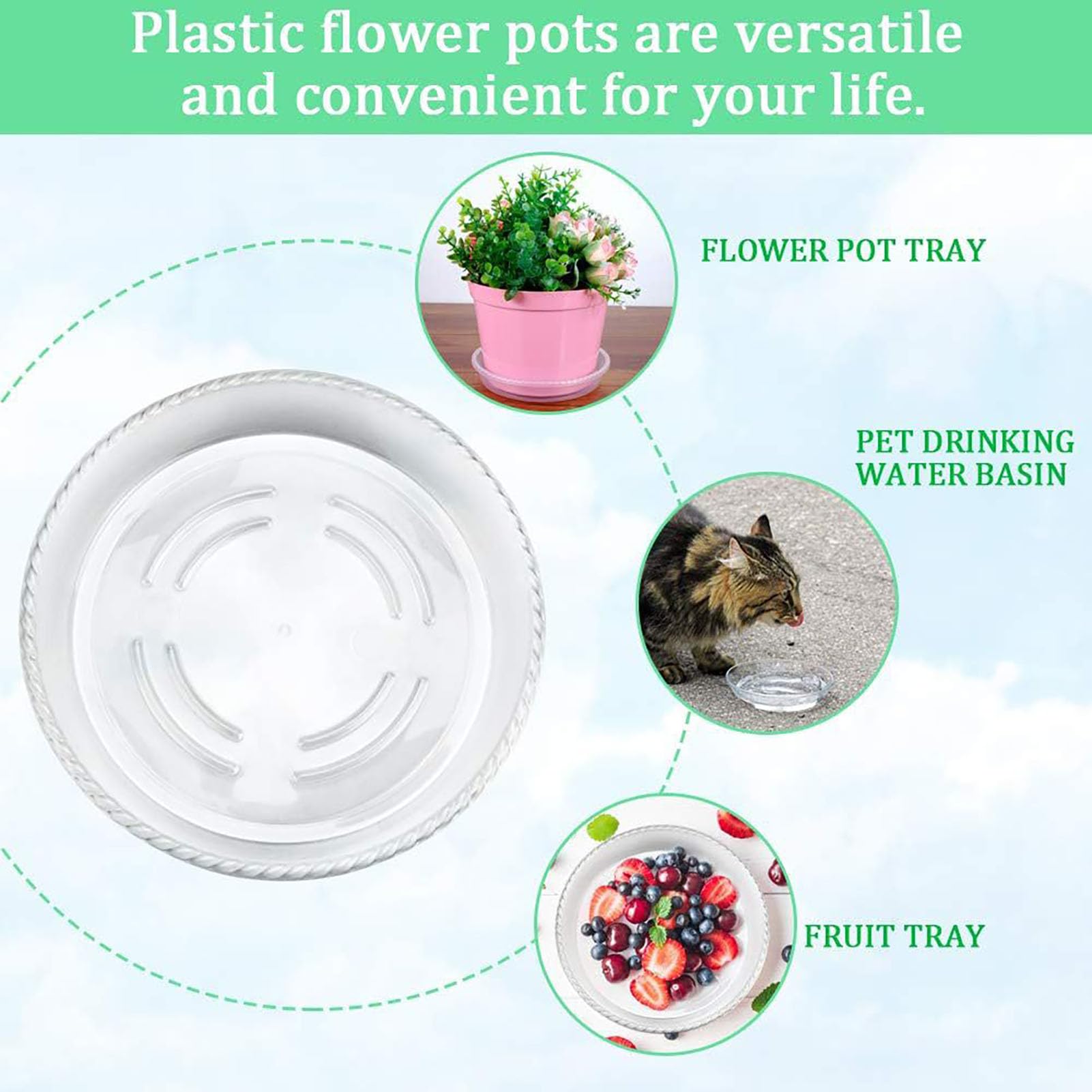 Set Di 6 Sottobicchieri Da Dipingere Con I Numeri  10cm Diametro Canto Tra I Fiori