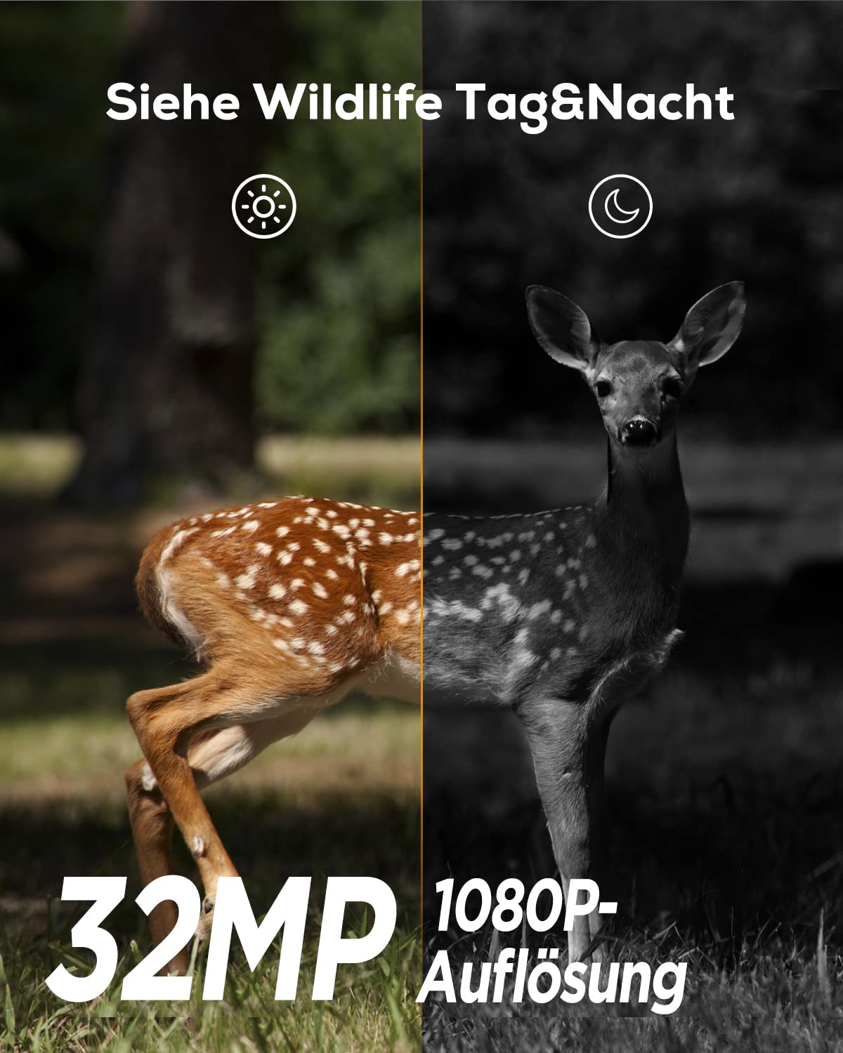 iZEEKER Wildkamera 32MP HD, Wildtierkamera mit 940nm No Glow Infrarot LEDs, Wildkamera mit Bewegungsmelder Nachtsicht IP66 wasserdicht für die Tierbeobachtung Heim Sicherheit