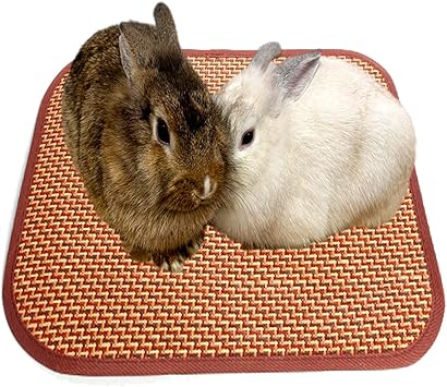 Amazon Co Jp S Fields Inc ウサギマット 籐草 うさぎケージマット チモシーマット 兎 うさぎの座ぶとん ペット用 L 用品 ワラ 夏用 給水 散歩 床材 透明 砂場 木製 温度 吸盤 軽量 木 窓 大 藁 ペット用品