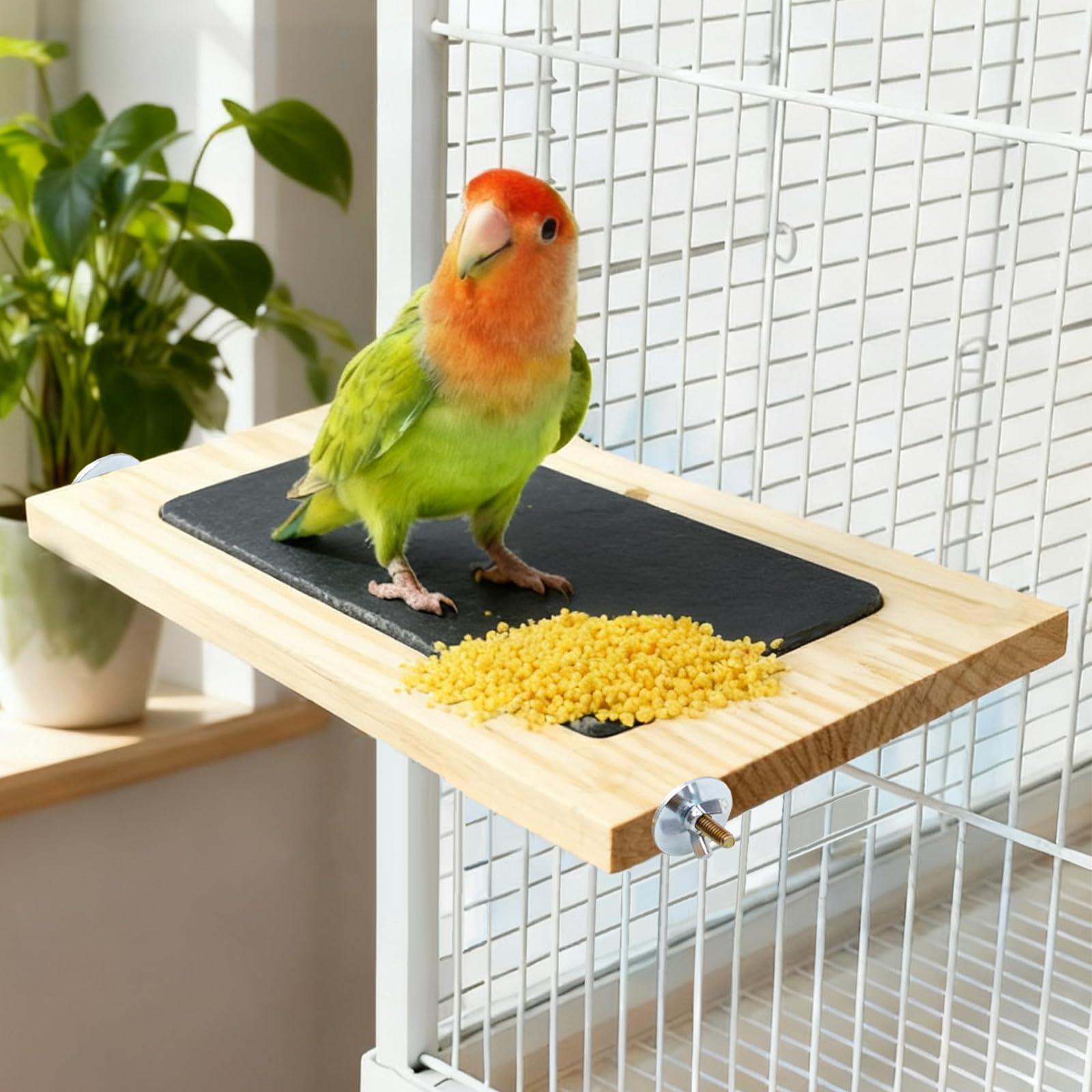 Bird Perch, Wooden Platform with Slate Rock, Bird Playground, Parakeet Shelf Stand Platform, Cage Accessories for Budgies, Cockatiels, Lovebirds, Green Cheeks, Small to Medium Birds - image 5