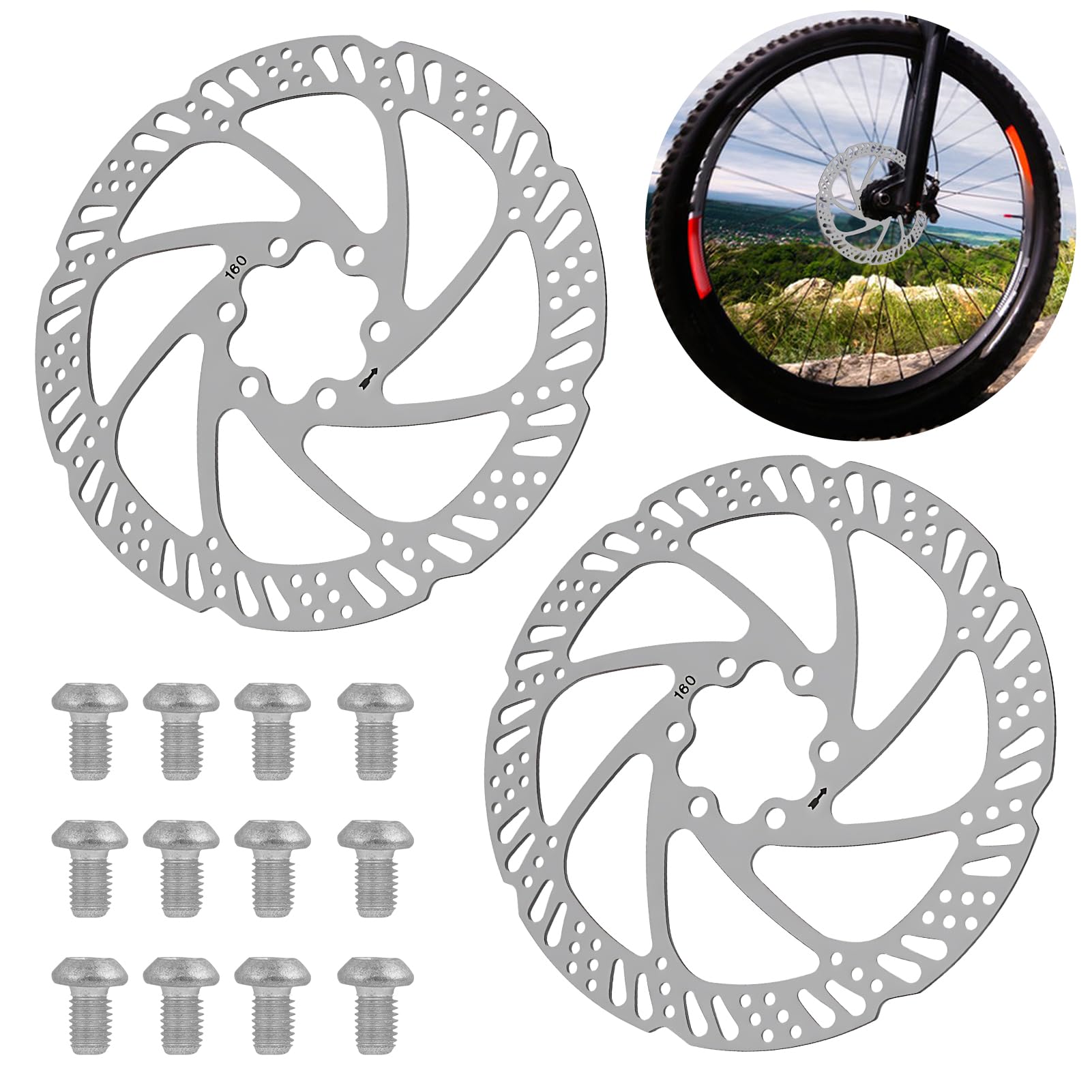 2 PCS Dischi Freno a Disco MTB 160mm in Acciaio Inox con Viti, Compatibili con Bici da Strada, Disco Freno Bici 160mm, Freni a Disco per Bicicletta, Disco Freno MTB, Argento