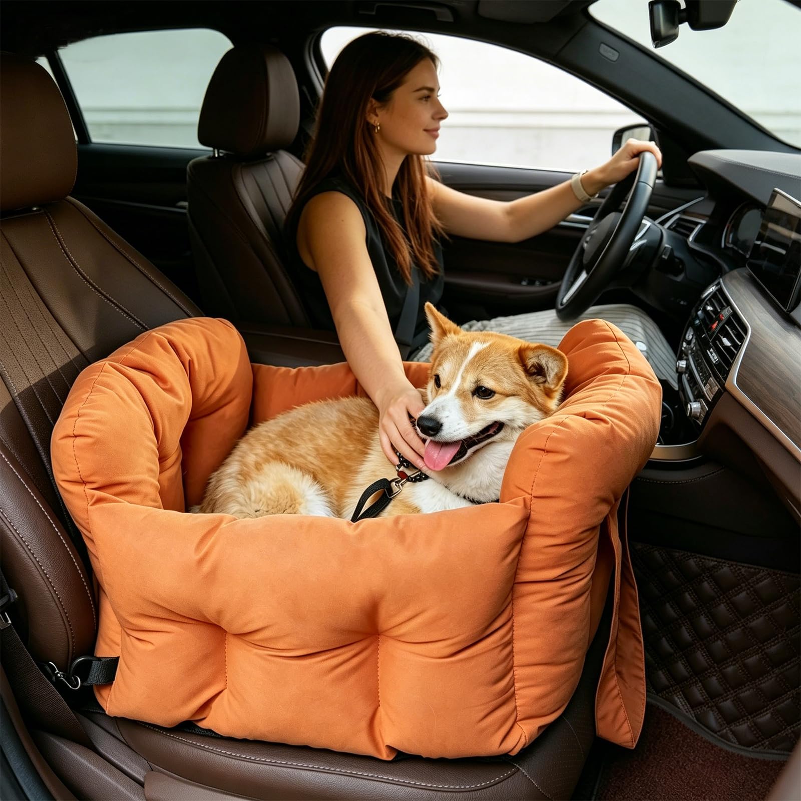 Ergocar Asiento De Coche para Perros Consola Central Asiento Elevado con Cinturón De Seguridad Ajustable y Acolchado Apto para Uso Doméstico Viajes y En El Coche Tanto para Gatos como para Perros