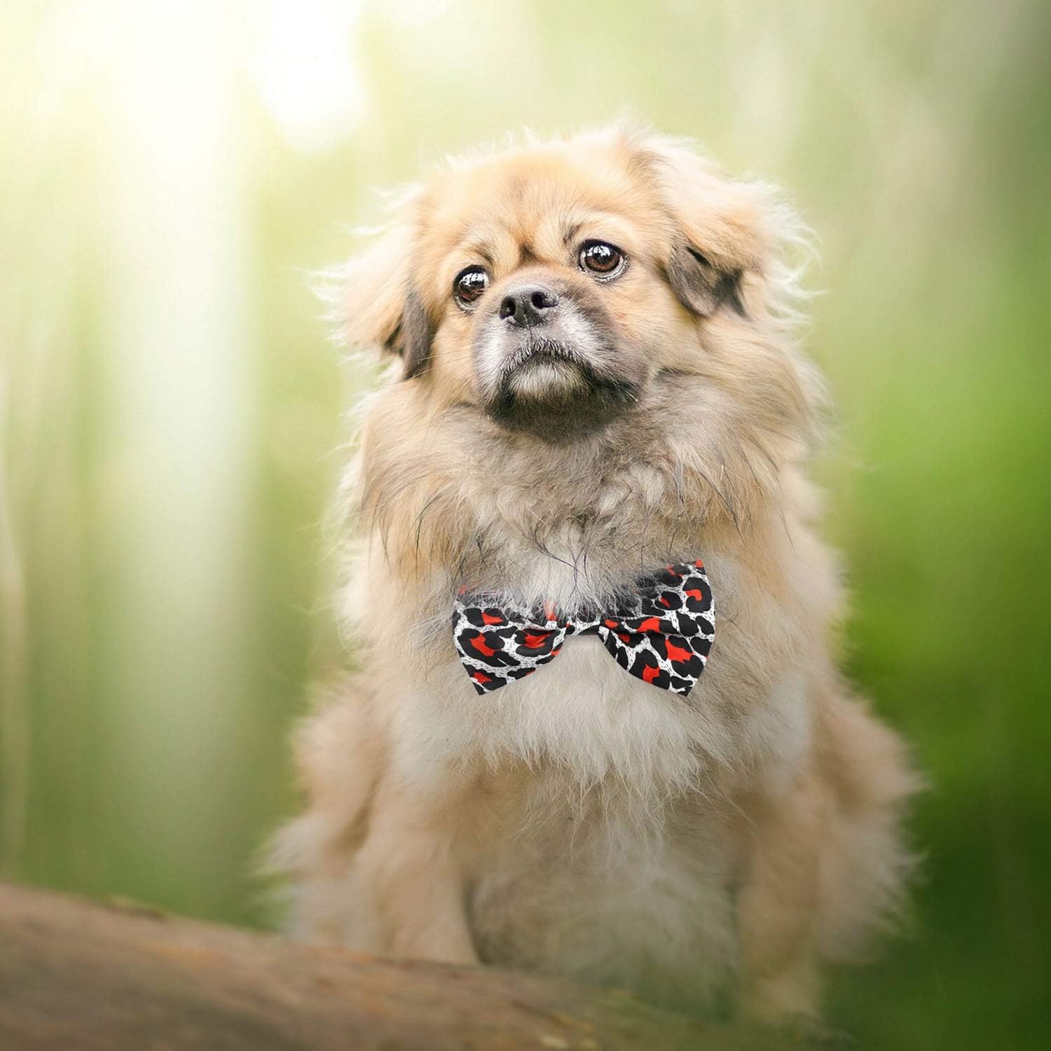 Segarty Dog Ties and Bows, 80 PCS Puppy Bowties Collar Bulk for Small Medium Boy Girl Dogs, Adjustable Dog Bow Tie Collar for Cat Dog Pets as Holiday Festival Party Costume Groom Accessories