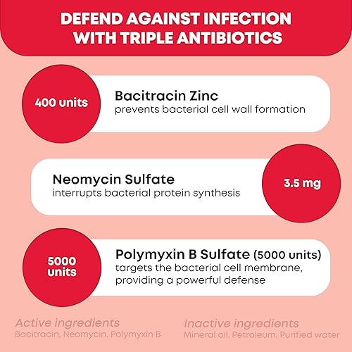 Miniatura 3 de Ever Ready First Aid Pomada antibiótica triple de 1.0 onzas, ungüento de primeros auxilios para arañazos menores, cortes, quemaduras, heridas y