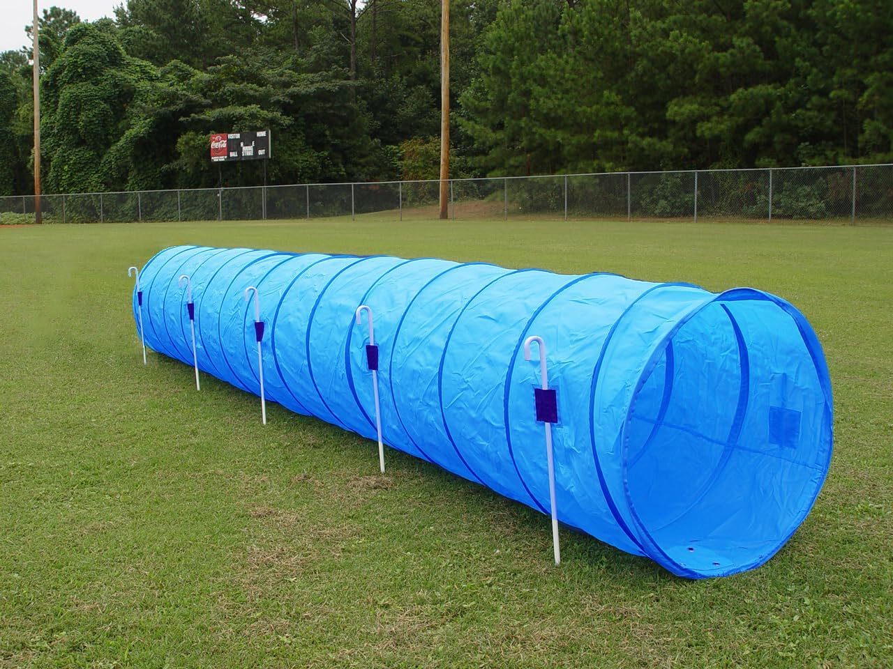 14' Dog Agility Tunnel with Stakes, Multiple Colors Available (Turquoise)