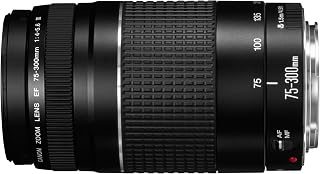Canon EF 75-300mm f/4-5.6 III Telephoto Zoom Lens for EOS DSLRs - Versatile 4x Reach for Wildlife & Sports
