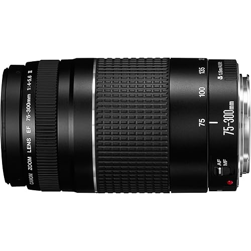 Canon RF 75-300mm f/4-5.6 Compact Telephoto Zoom Lens for RF Mount - Full Frame APS-C Compatible (Black)