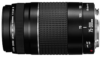 Amazon.co.jp: キャノンEF 75-300mm f/4-5.6 III 望遠ズーム