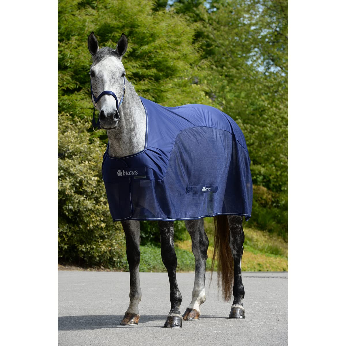 Bucas Competition Cooler - navy/silver, Groesse:165