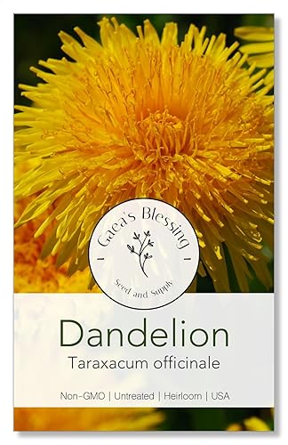 Gaea's Blessing Semillas – Semillas de diente de león – Diente de león común – Semillas de hierbas sin OMG con instrucciones fáciles de seguir,