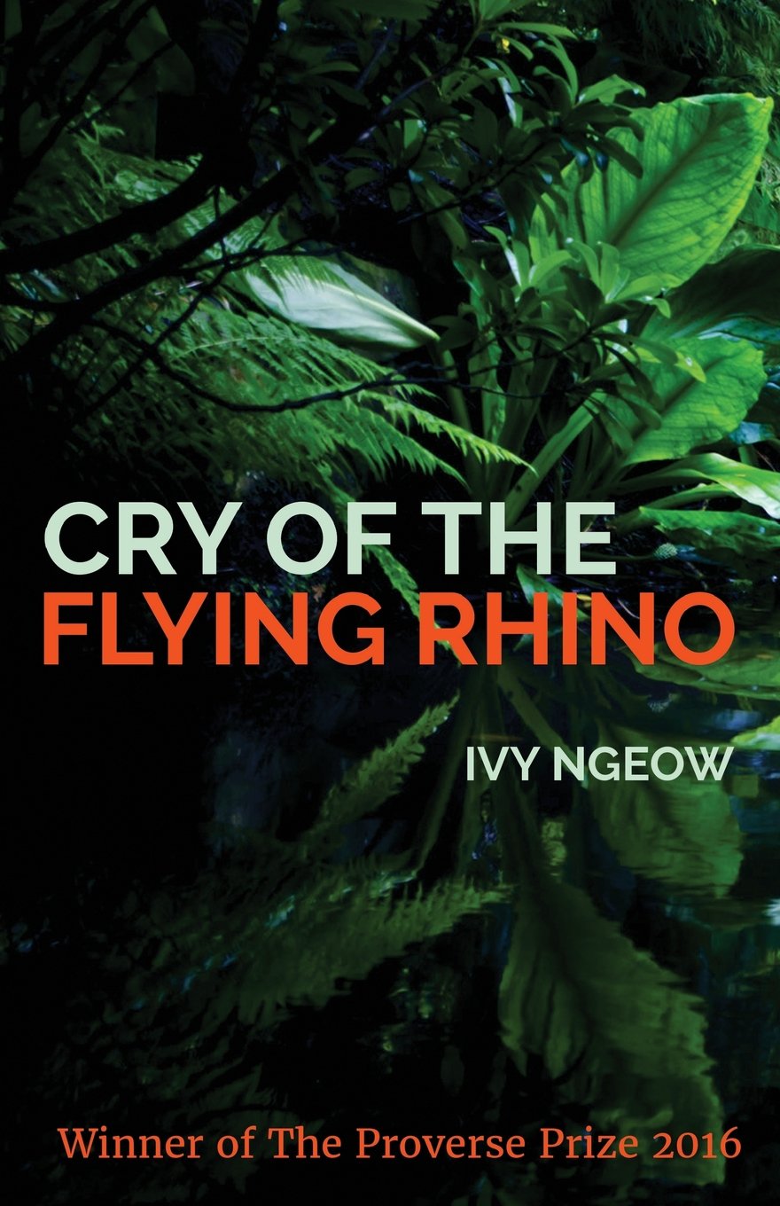 Cry of the Flying Rhino: 13 (Winners of the International Proverse Prize)