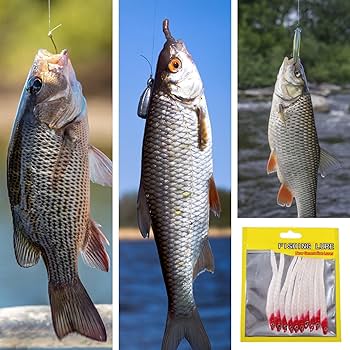 Amazon.co.jp: バスフィッシングワーム - フィッシングソフト