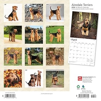 Amazon | 2024年 エアデール・テリア カレンダー/ブラウン