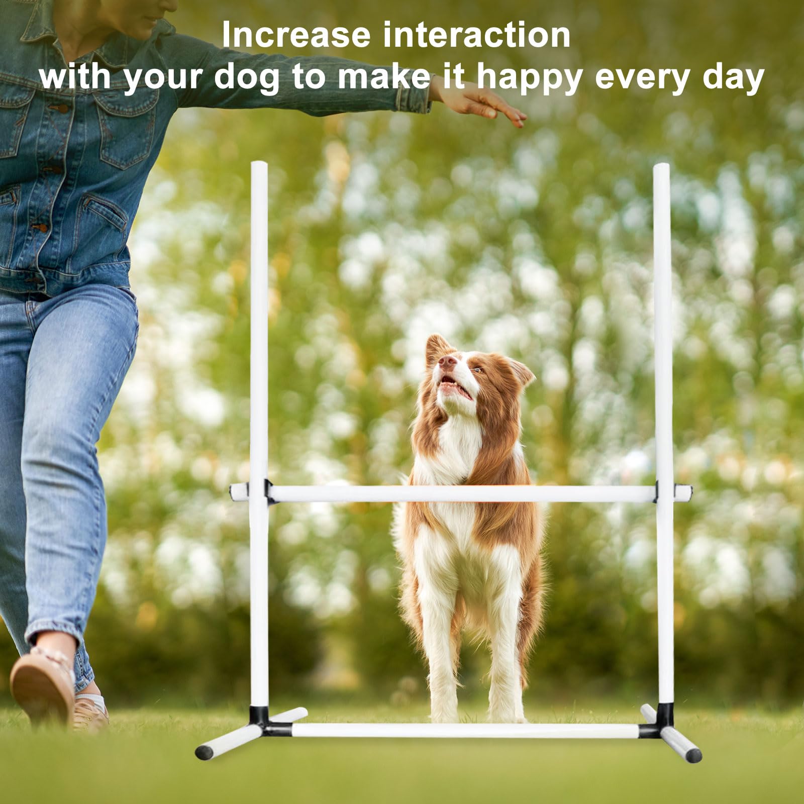 Kit di salto per l'agilità del cane, set di ostacoli regolabili con borsa portaoggetti, facile da installare, attrezzatura per corsa ad ostacoli per interni ed esterni, per cani