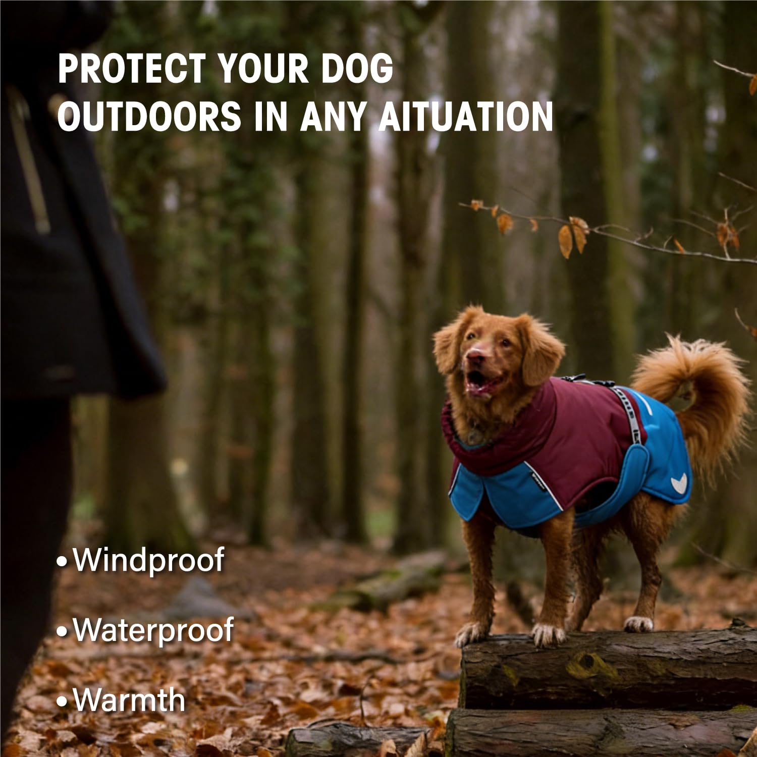 Wasserdicht Hundemantel Wintermantel Hundejacke mit wärmendem Futter, Winddicht und Reflektierende Jacke für Border Collie, Springer Spaniel den Außenbereich (50, weinrot
