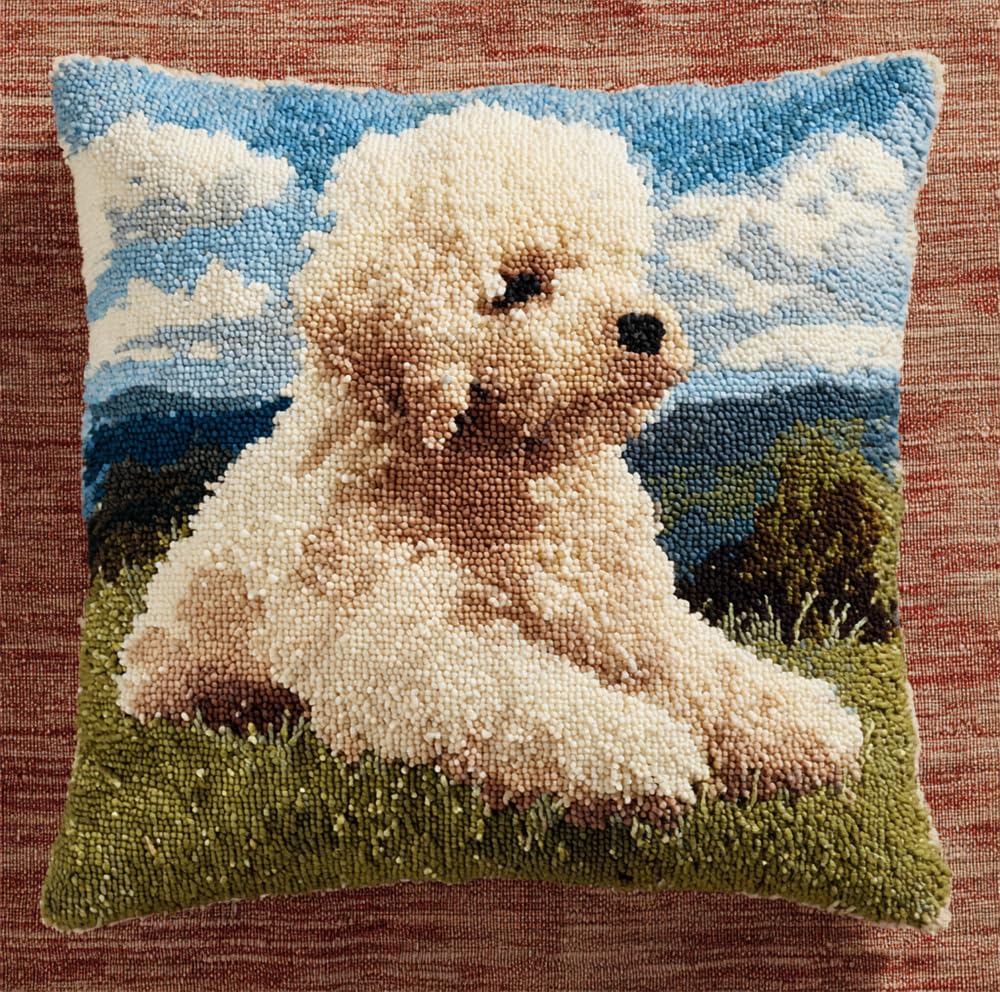 Latch Hook Cushion Kits For Adults 17X17Inch,Poodle On The Grass Latch Hook Pillow Case Kits Embroidery Kits 43X43Cm, Diy Needlework Pillow Cover Cushion Rug Making Kit, Diy Craft Kit For Wo