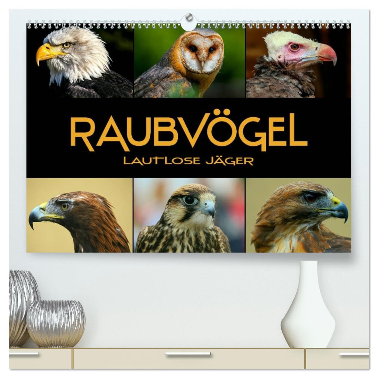 Raubvögel - lautlose Jäger (hochwertiger Premium Wandkalender 2026 DIN A2 quer), Kunstdruck in Hochglanz: Faszinierende Portraits von Greifvögeln und Eulen (CALVENDO Tiere)