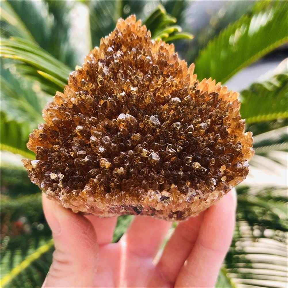 Amazon.co.jp: 天然黄琥珀方解石原石クリスタル宝石原石標本の