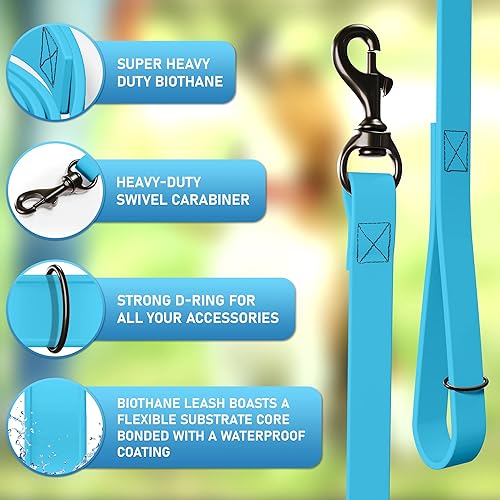 Miniatura 2 de Biothane - Correa para perro, extra resistente, impermeable para perros grandes, medianos y pequeños, plomo de 6 pies con mosquetón de latón (azul