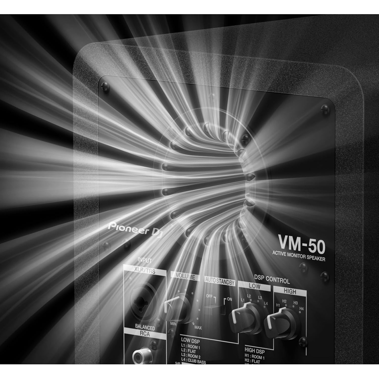 Pioneer DJ VM-80 8" Active Monitor Speaker