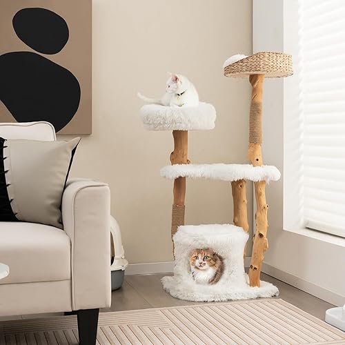 Miniatura 3 de Tangkula Árbol para gatos de interior, torre moderna de madera maciza para gatos con cesta de cola superior, cama para gatos, perca lateral,