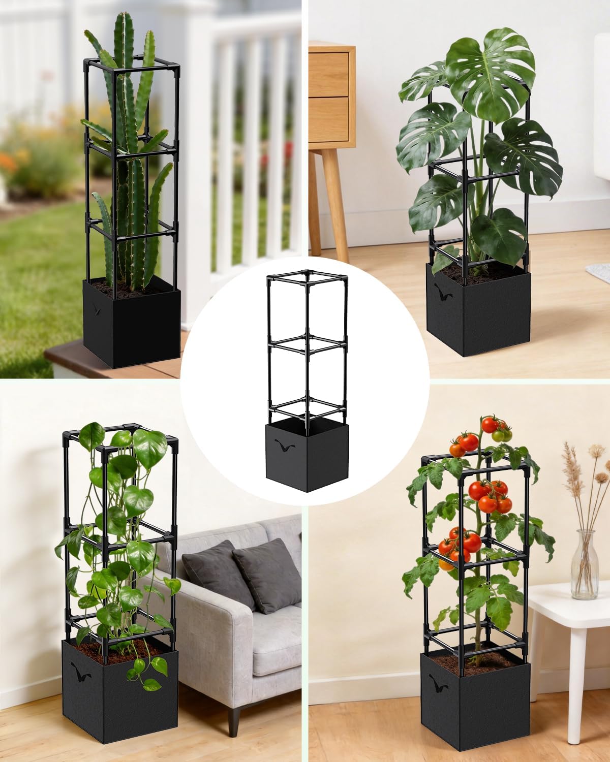 2PCS Dragon Fruit Trellis for Climbing Plants Indoor Outdoor, Heavy Duty Metal Adjustable Vertical Garden Support for Indoor Outdoor Potted Plants, Tomato, Cactus, Roses,Vines(12 * 12 * 47inch,2PC)