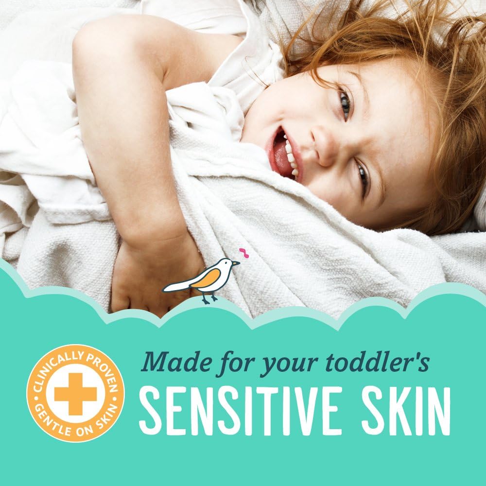 Seventh Generation Free & Clear Potty Training Pants Size 2T/3T (M), up to 35 lbs 25 count, Pack of 4 : Health & Household