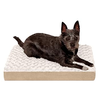 small mattress for dog