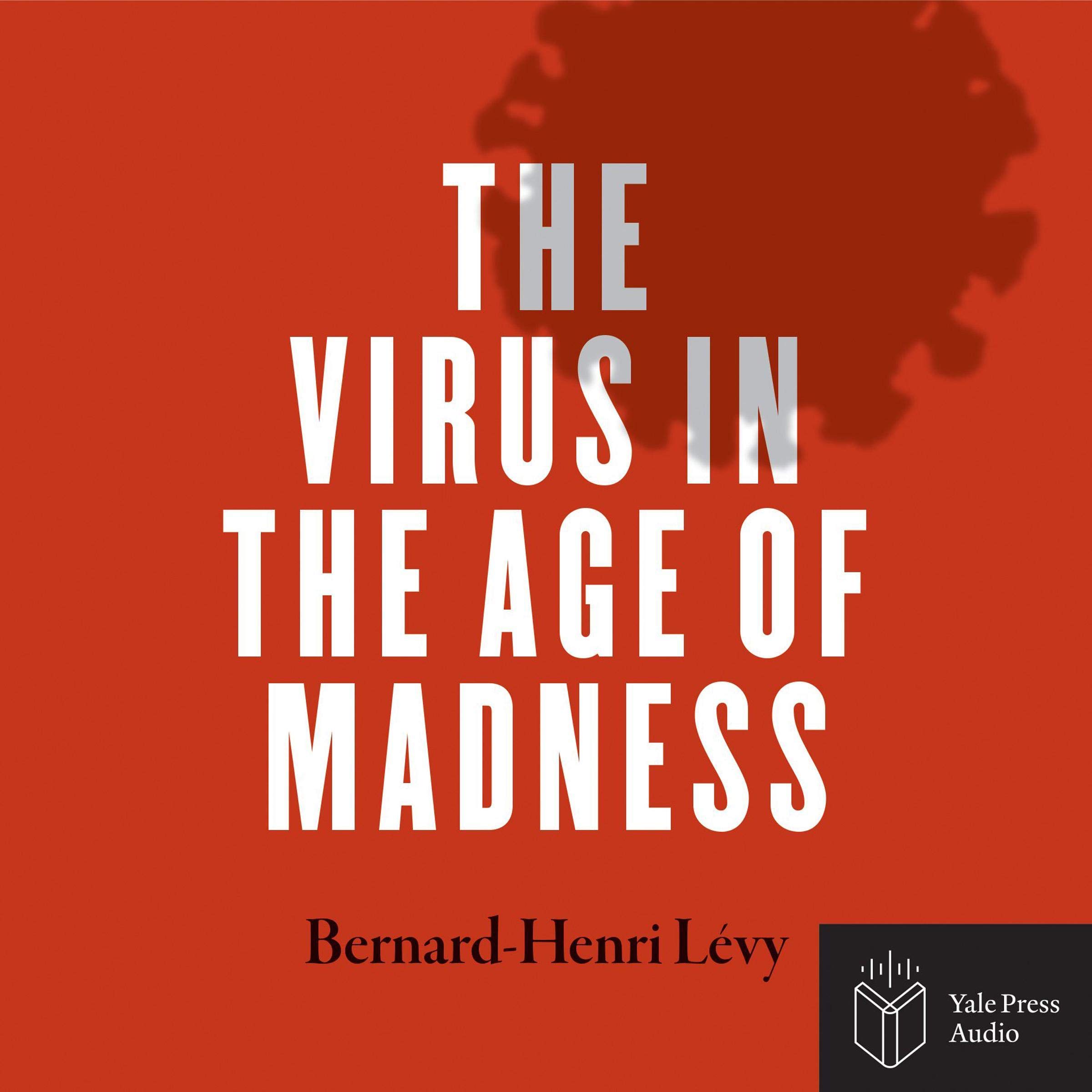 Cover art for The Virus in the Age of Madness