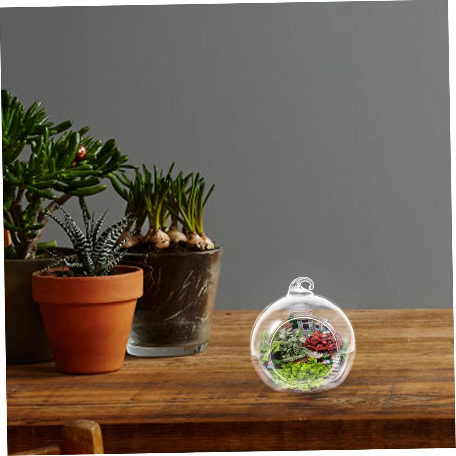balacoo 12pcs Transparent Hanging Glass Globes Hydroponic Terrarium Vases for Air Plants -Friendly Decorative Planters for Home and Office Decor