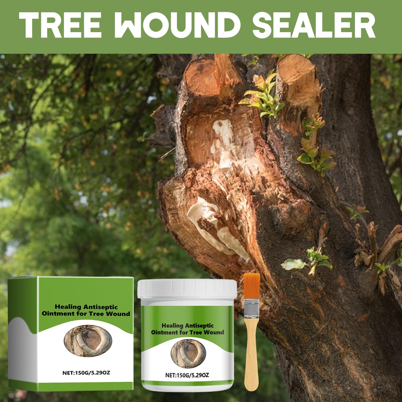 Pâte à Greffer Et Cicatriser Pour Arbres - 500 G Avec Brosse, Pour élagueage, Bonsaï, Réparation Des Plaies
