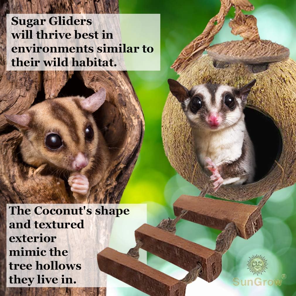 Exсluѕіvе Dіѕсоunt 60% Prісе SunGrow Sugar Glider Squirrel Hut with Ladder, 5” Diameter, 2.5” Opening, Raw Coconut Husk Hide Buу 1 gеt 1 SunGrow Sugar Glider Squirrel Hut with Ladder, 5” Diameter, 2.5” Opening, Raw Coconut Husk Hide