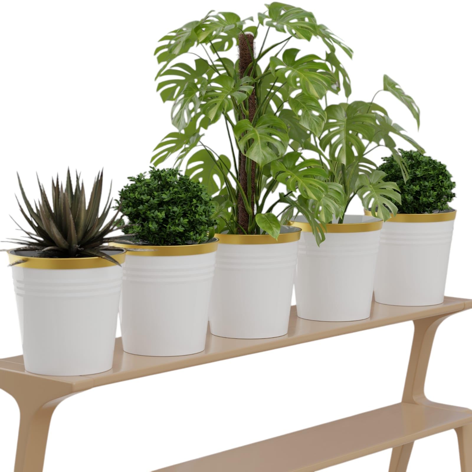 Durable Plastic Round Flower Pot | White Indoor & Outdoor Planter with Drainage Hole for Balcony, Office, Garden, Patio, and Home Décor | Elegant Finish-image-37