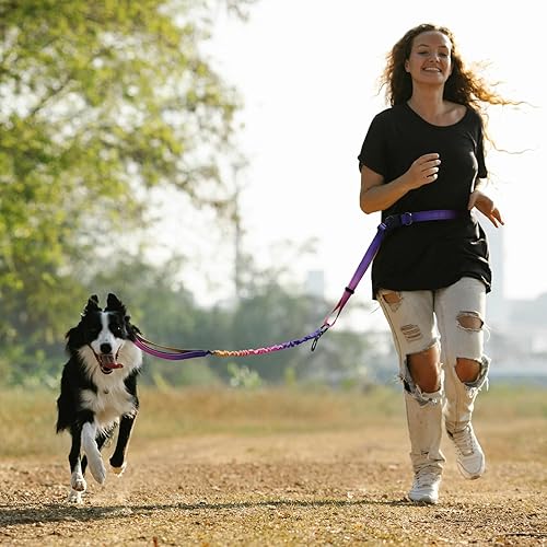 Miniatura 2 de Roses&Poetry Correa de perro manos libres para perros medianos y grandes, resistente, sin tirones, correa de cintura para correr para caminar y