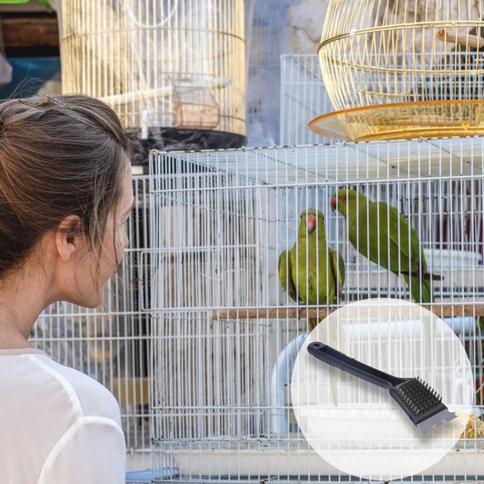 Spazzola per gabbia per uccelli, 1 spazzola per la pulizia degli escrementi di uccelli, con raschietto, manico lungo in acciaio inox, spazzola per la pulizia della gabbia degli uccelli, accessorio per