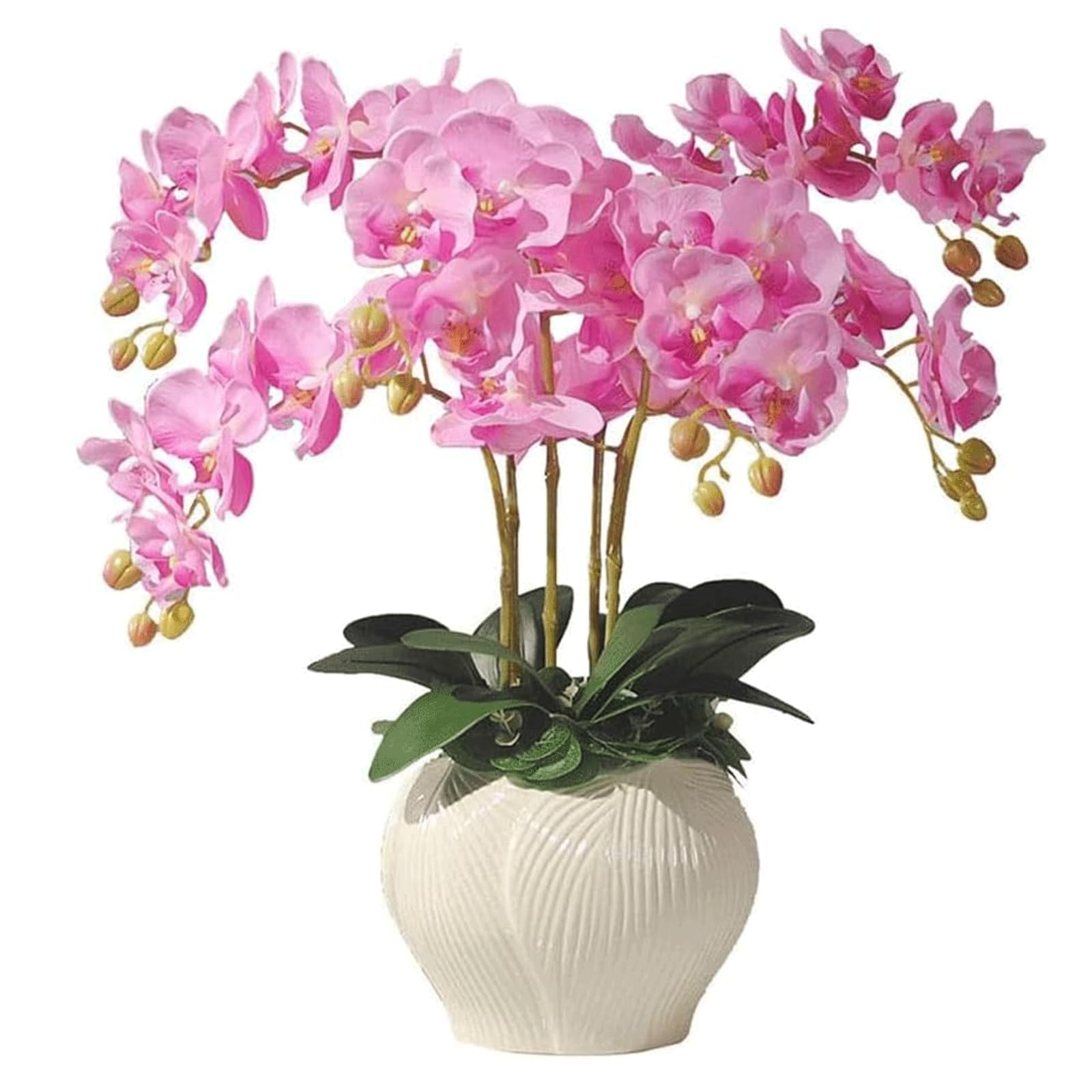 DFGHNBVC Artificial Orchid Faux Orchids Silk Artificial Phalaenopsis Flowers With Porcelain Vase Set Artificial Flower Potted 57Cm Modern Fake Floral Very Natural