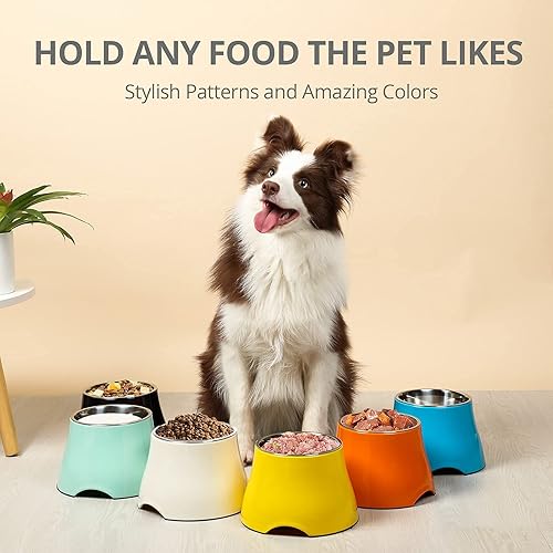 Miniatura 6 de yoken Tazones elevados resistentes para perros, 2 unidades, [prevención de la enfermedad de las vértebras] [2 tazones antideslizantes] de comida