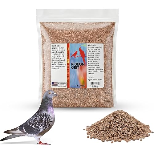 Morning Bird Pigeon Grit - Healthy & Nutritious Pigeon Food to Support Strong Muscles & Bones for Grit Eating Birds - Supports Digestion & Packed with Essential Minerals 9 lbs | Mineral Fortified Mineral Grit – Supports Strong Muscles, Bones & Digestion - Ideal for Pigeons and All Grit Eating Birds