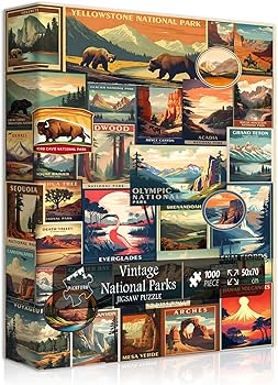 71PSNqGwLWL._AC_UF350,