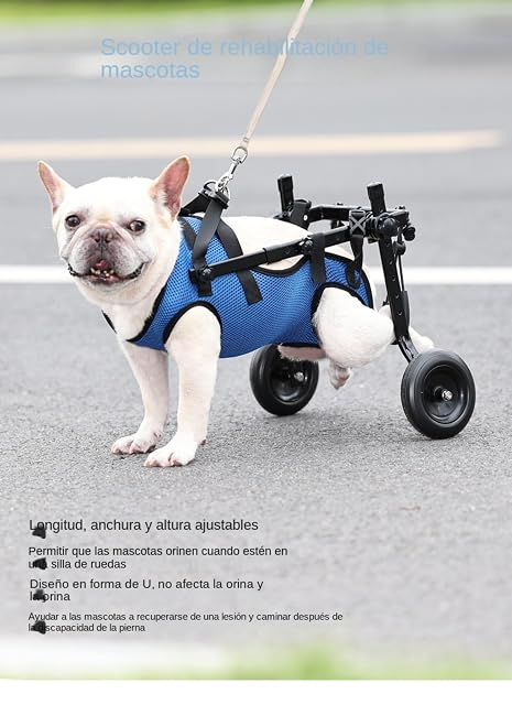 Foto 5 de 6 de WeiJangg Silla de Ruedas for Perros pequeños con Patas traseras