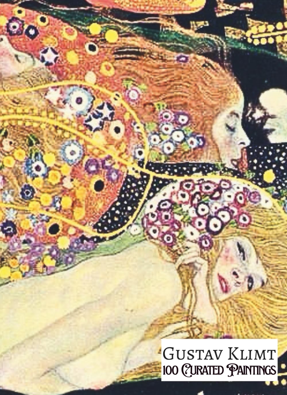 Livre d'art Gustav Klimt &agrave; offrir pour No&euml;l ou un anniversaire