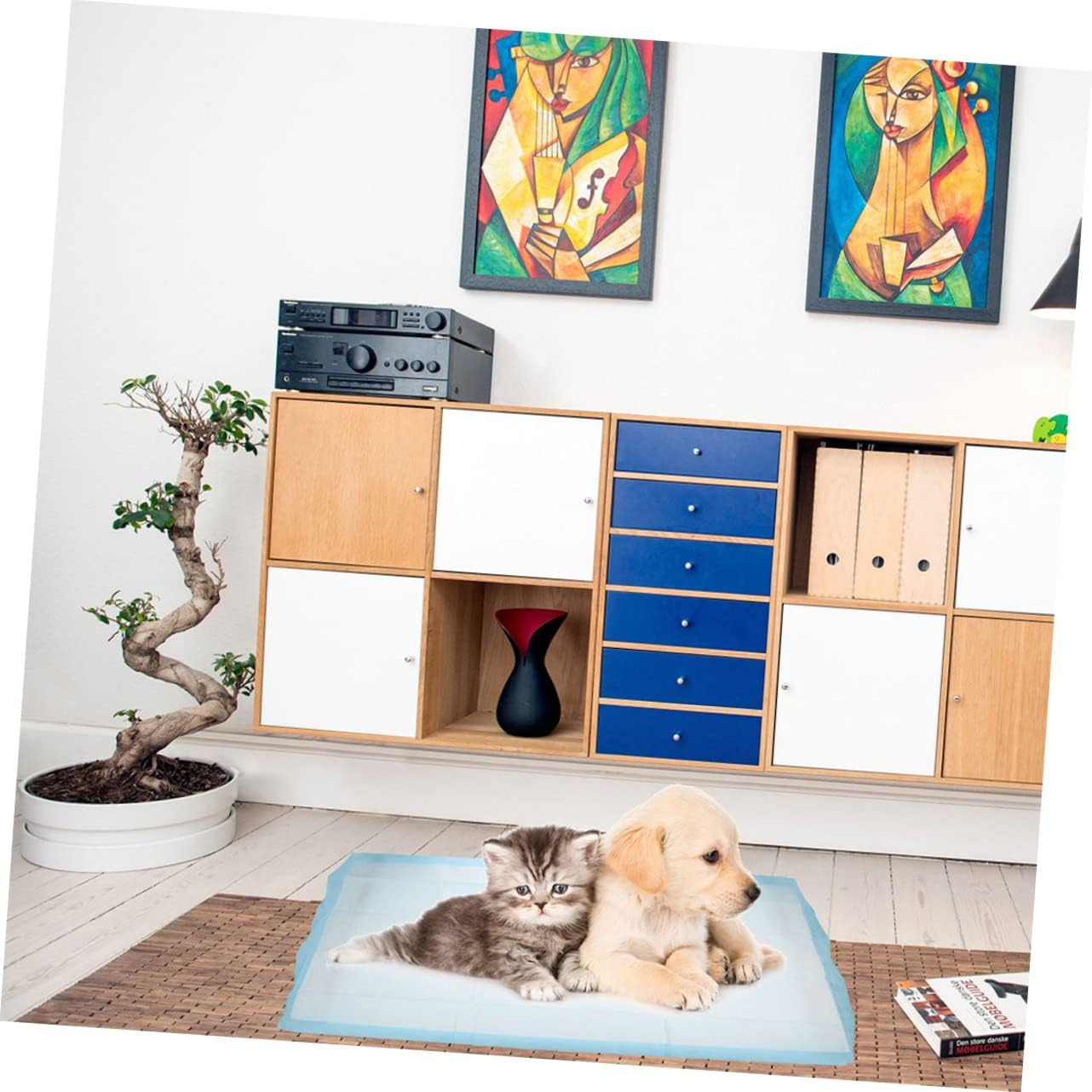 DOITOOL 40pcs Disposable Pet Training Pee Pads for Dogs and Cats Easy to Use Quick-Dry Leak Home and Outdoor Potty Training