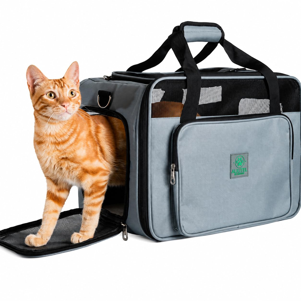 Transportin Gato Perro, Mochila Transporte para Mascotas, Transportin Transpirable con Asas y Correa de Hombro, Incluye Organizador de Documentos