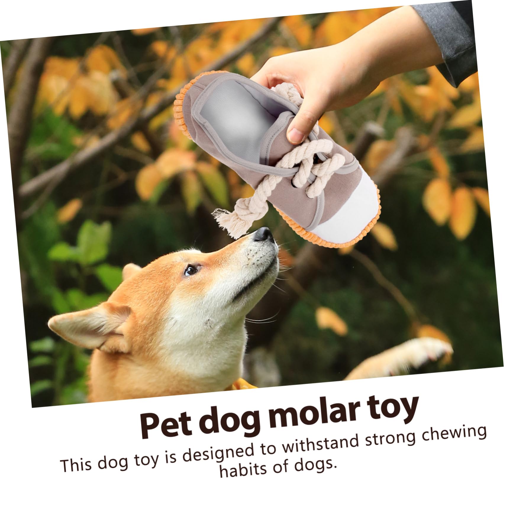 Sosoport 4pezzi Giocattolo Per Cani Stridulo Forma Di Scarpa Gioco Interattivo Per Masticatori Aggressivi Pulisce Denti e Stimola Attività Fisica Materiale Sicuro e Resistente Per Cuccioli