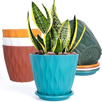 5 Pack Indoor 6 Inch Plant Pots, Flower Pots Outdoor Planter Planting with Drainage Holes, and Tray Saucers for All Home Gardens Succulents