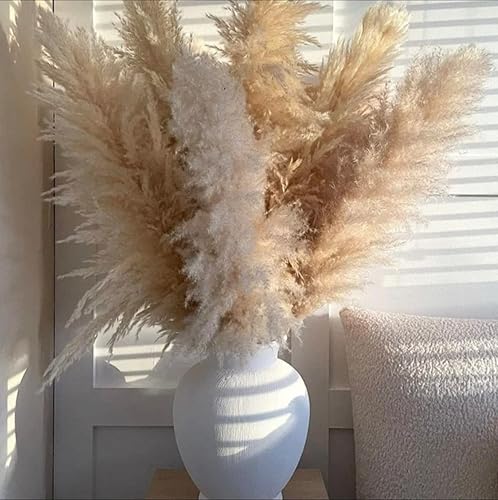 Miniatura 5 de Extra Large Dried Wild Pampas Grass 4ft Boho Decor  Wedding Floral Decor