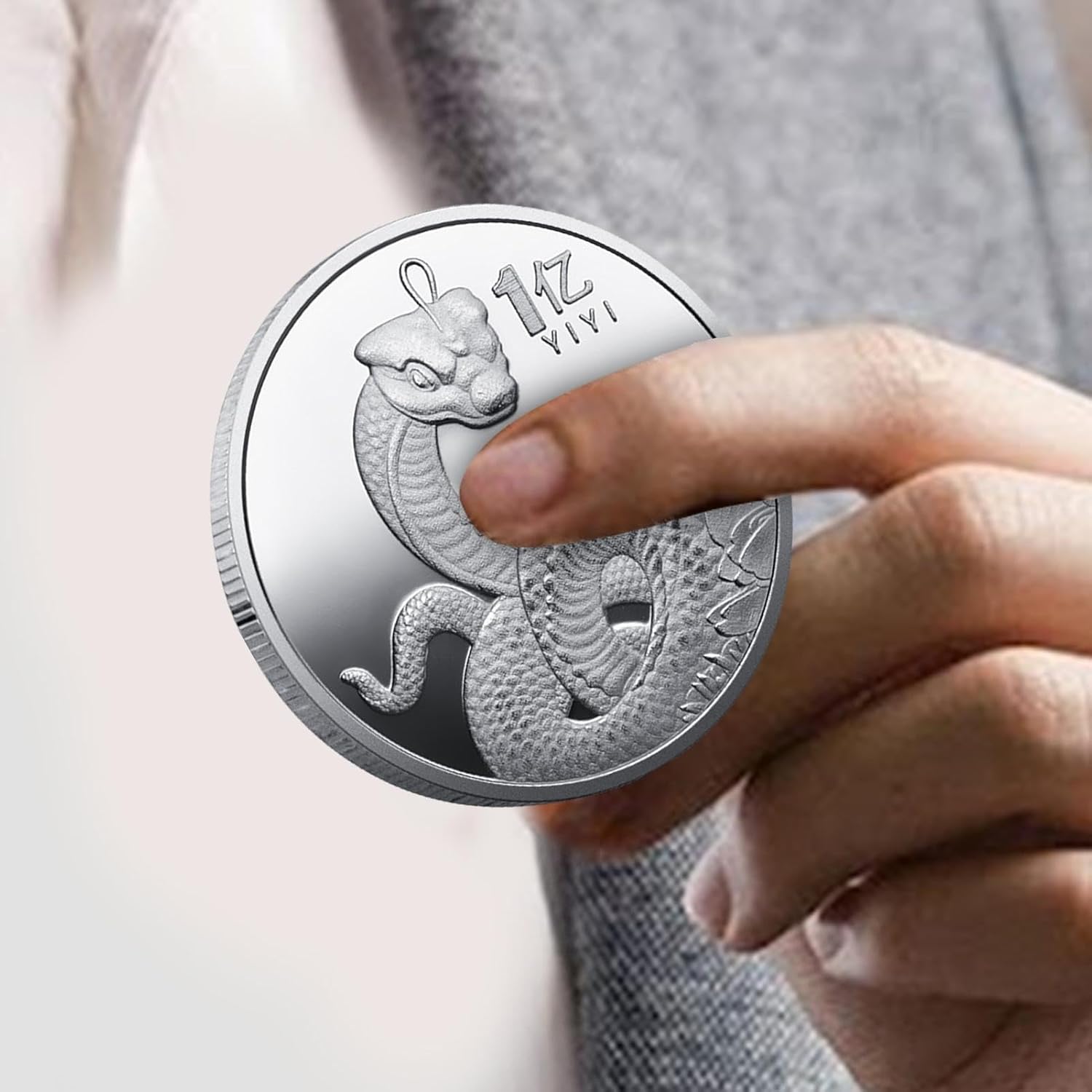 2025 스네이크 코인 중국 스네이크 코인 | 스네이크 기념주화 | 2025년 기념주화의 해 수집할 3D 부조주화 중국  메달-Freehip.co.kr