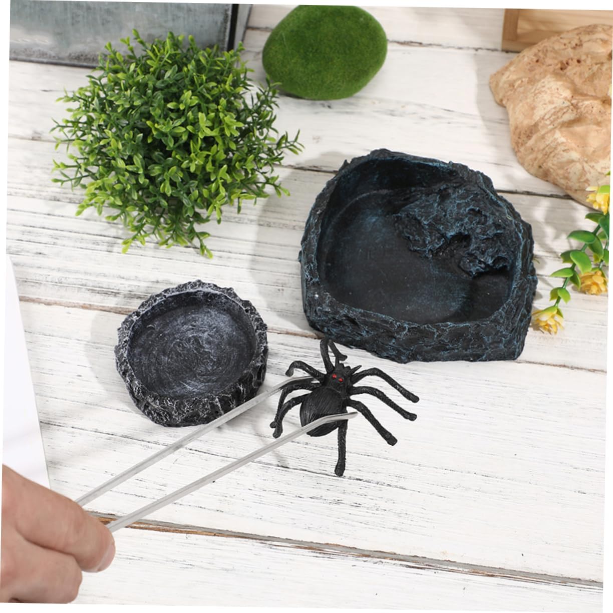 1set Bearded Dragon Feeding Bowl Tweezers Reptile Food and Water Dish for Lizards and Snakes and Easy to Clean Reptile Feeder for Handling Versatile Design for