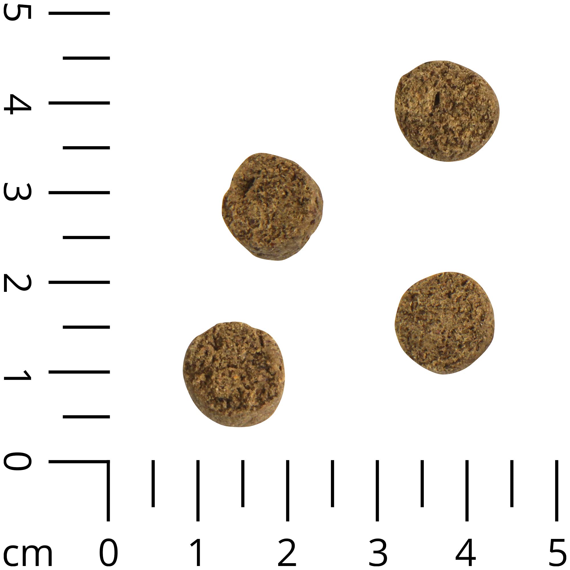 Schecker Hundeleckerli - Geflügel Crockies - getreidefrei - mit Früchte und Gemüse - sensitiv - Hundekekse -3 kg