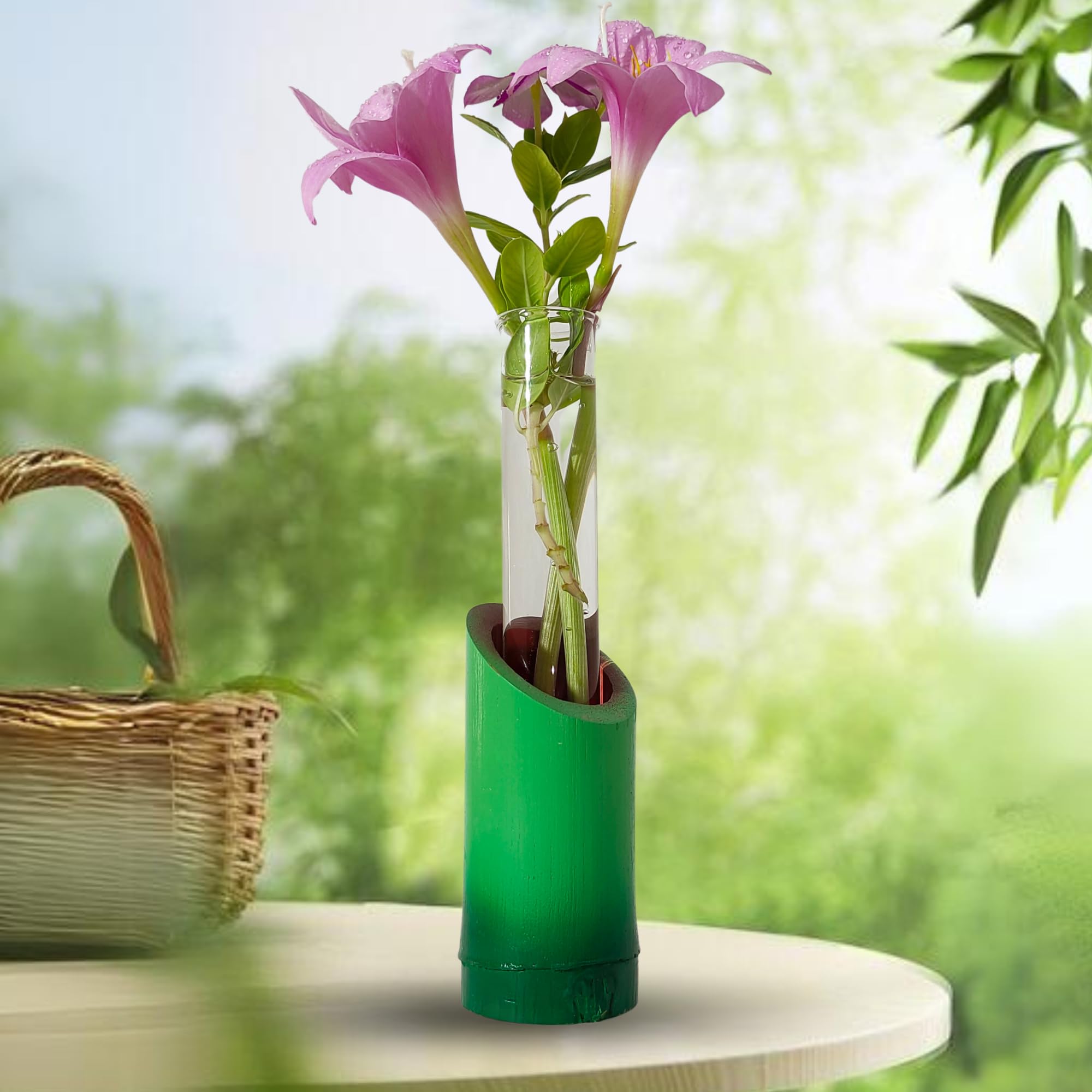 See full amazon price history chart for Handcrafted Glass Test Tube Planter with Natural Bamboo Stand - Eco-Friendly Tabletop Decor for Living Room, Desktop, Money Plant, Lucky Bamboo (Pack of 4) Handcrafted Glass Test Tube Planter with Natural Bamboo Stand - Eco-Friendly Tabletop Decor for Living Room, Desktop, Money Plant, Lucky Bamboo (Pack of 4) (B0CTGBD8N6) Amazon Price History, Amazon Price Tracker